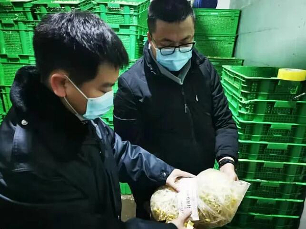 市市場監管綜合執法支隊開展豆芽專項監督抽檢工作，筑牢食用農產品批發安全防線
