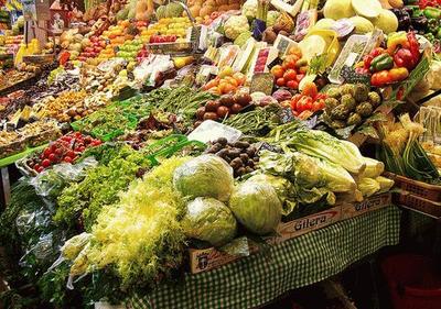10月10日保定新聞“早點” 食用農產品動態與昨日要聞回顧